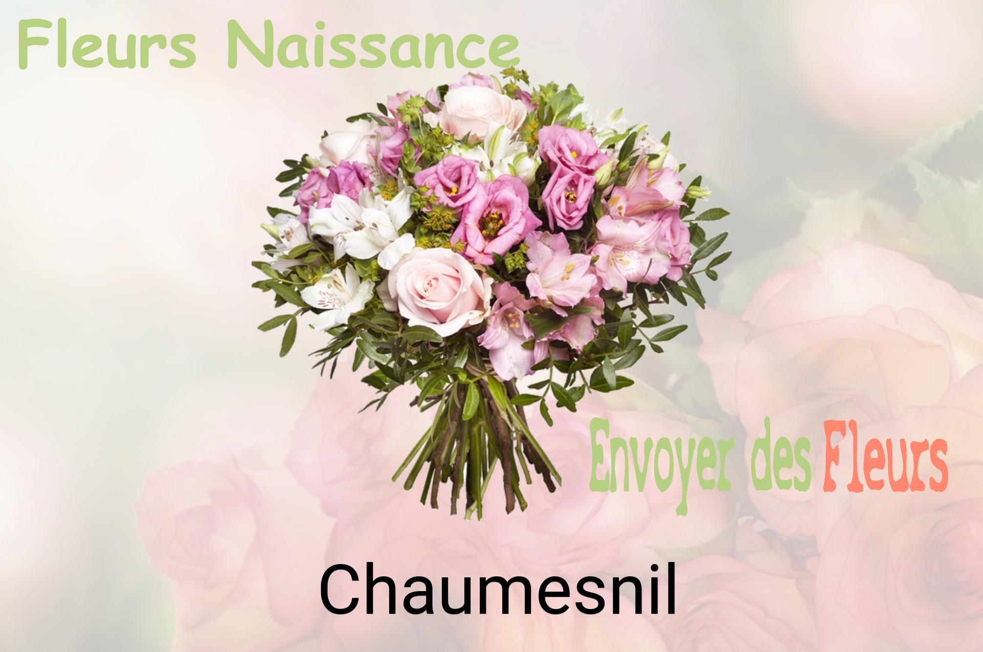 Bouquet de fleurs de naissance livré à Chaumesnil